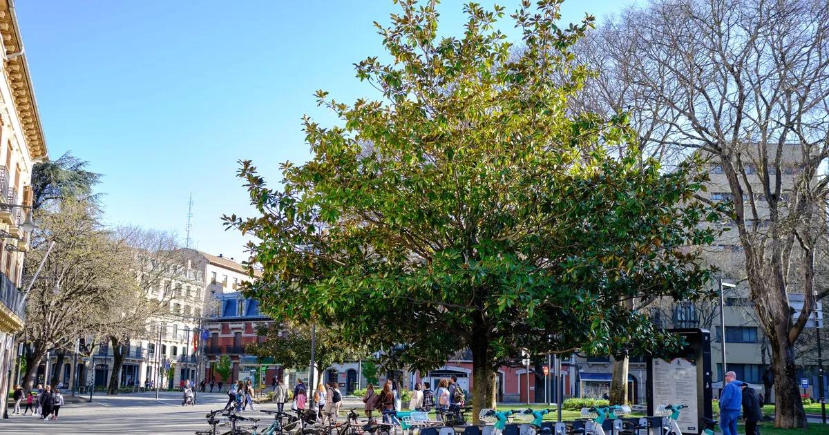 Madrid gay-friendly: todo lo que necesitas saber antes de visitar Chueca